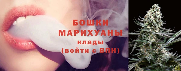 ГАЛЛЮЦИНОГЕННЫЕ ГРИБЫ Балахна