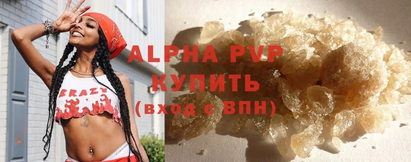 твердый Аркадак